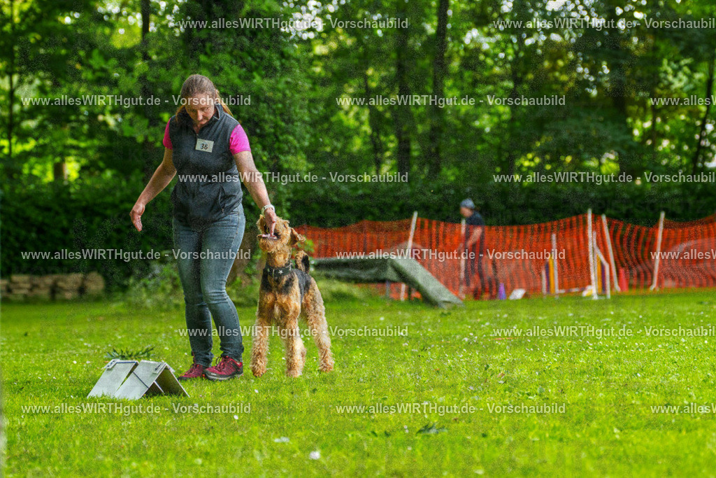 @allesWIRTHgut_Tierfotografie - www.allesWIRTHgut.de - 123845-7R509223 | Professionelle Tierfotografie in Mönchengladbach von Daniel Wirth (allesWIRTHgut). Liebevolle & natürliche Bilder von Hunden & Katzen für unvergessliche Erinnerungen.