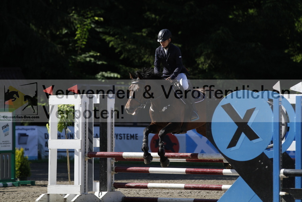 _MG_1317 | equestrian-live-com