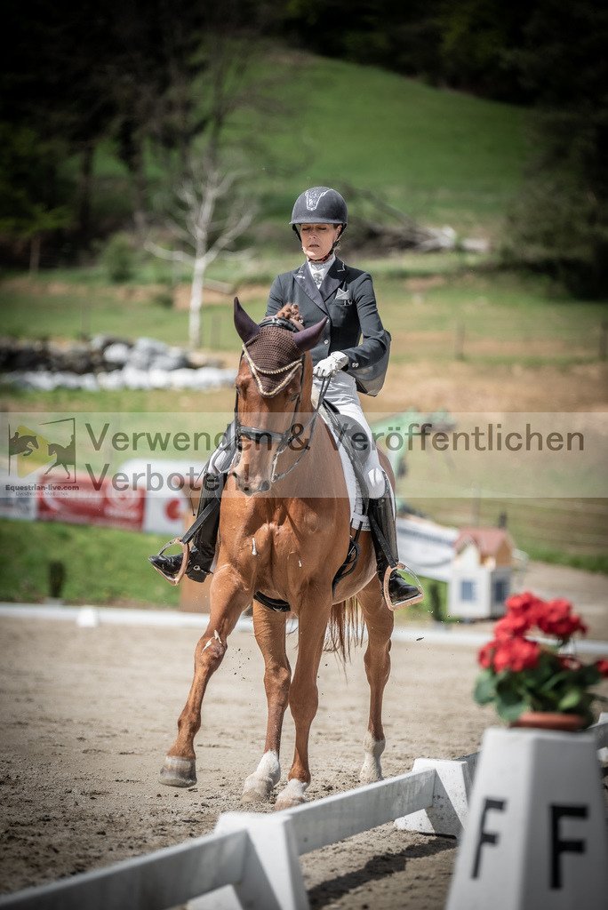 DSC_3015 | equestrian-live-com