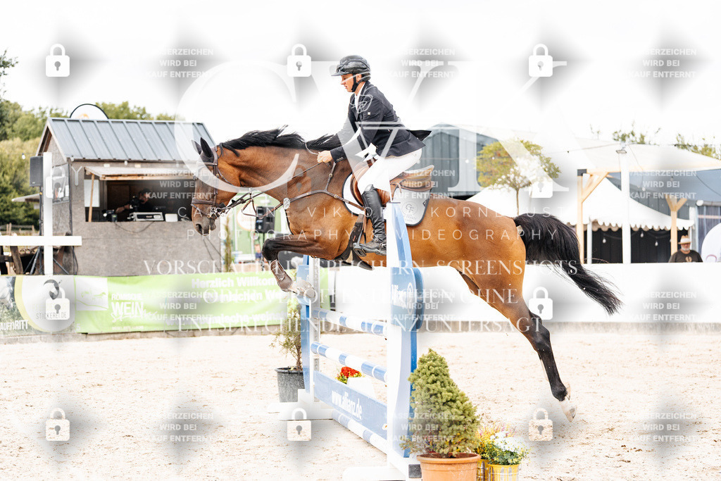 CK909391 | Turnierfotografie Pferdefotografie Trier Rheinland-Pfalz Pferdesport Reitsport Tierfotografie Sportfotografie Pferdevideo Pferdevideografie Equestrianvideography equestrianphotography  - Realisiert mit Pictrs.com