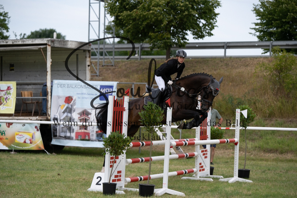 A7V01374 | Pferdefotograf