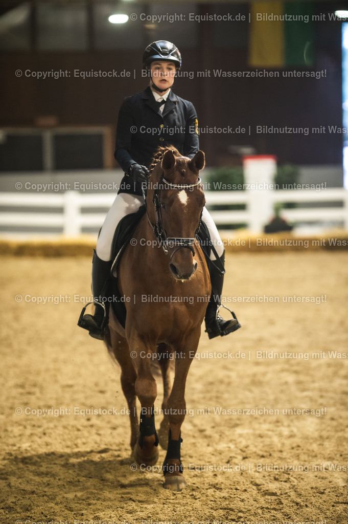 20240302_Hengstvorstellung_Marbach_TOMsPiC_1348 | equistock
