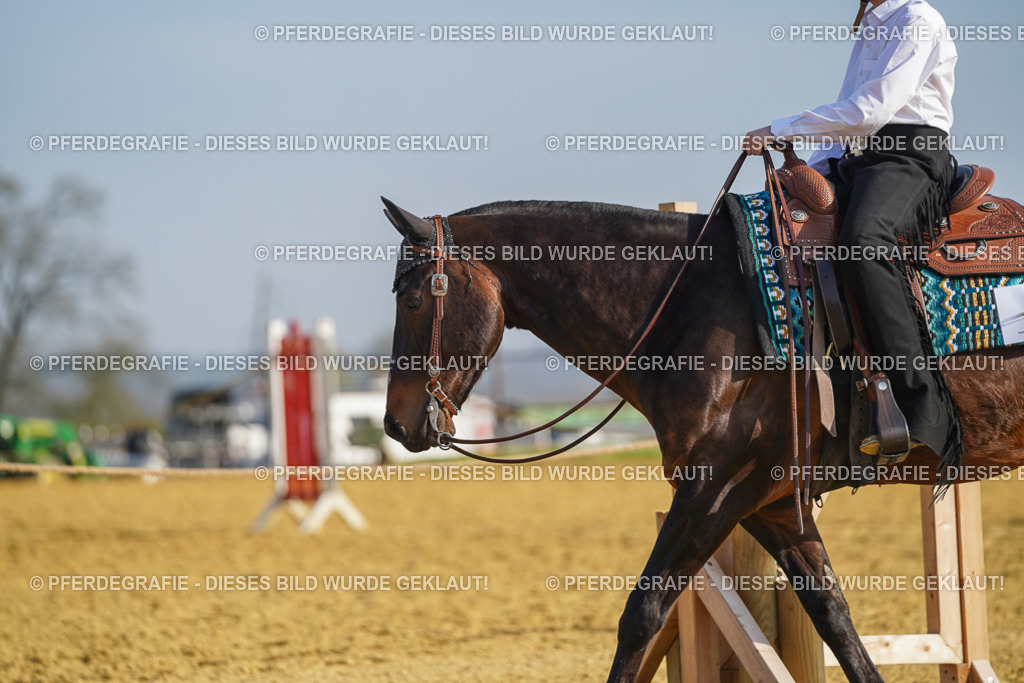 DSC00819 | Pferdegrafie