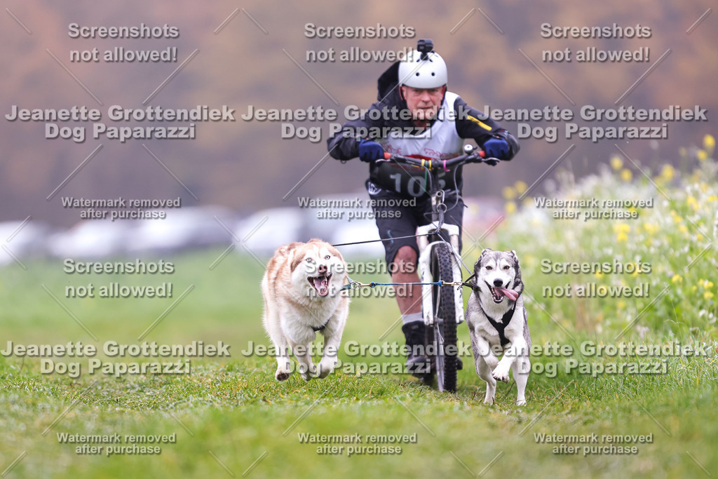 Dog Paparazzi - Visbeck 25 -116 | Dog Paparazzi Jeanette Grottendiek Fotografie & Videografie - Realisiert mit Pictrs.com