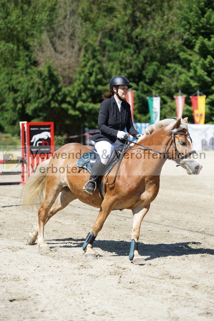 DSC06250 | equestrian-live-com
