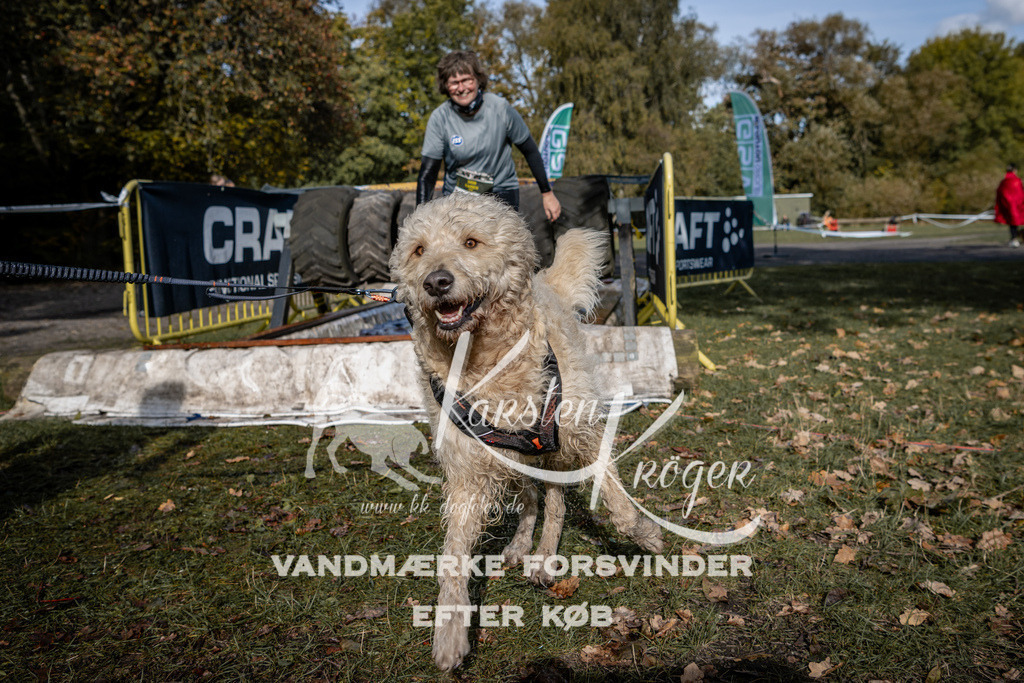 1324_ZZ92597 | kk-dogfotos