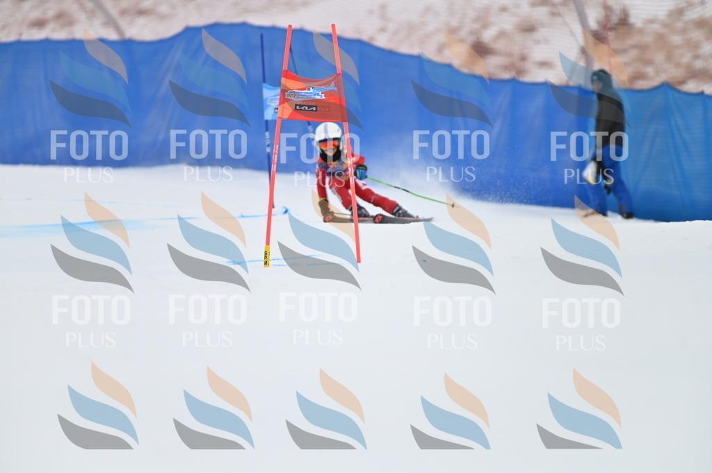 BGV_2823 | holidayphoto