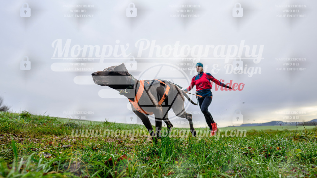 MompixPhotography_Staufertrail2024_SO_Canicross-13 | PayLife