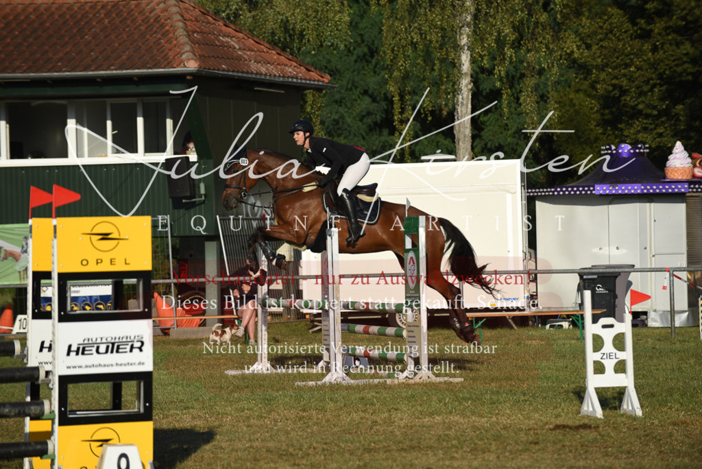 DSC_4858 | Pferde- und Turnierfotografie in Westsachsen. Pferdeportraits, Auftragszeichnungen und intuitive Kunst.