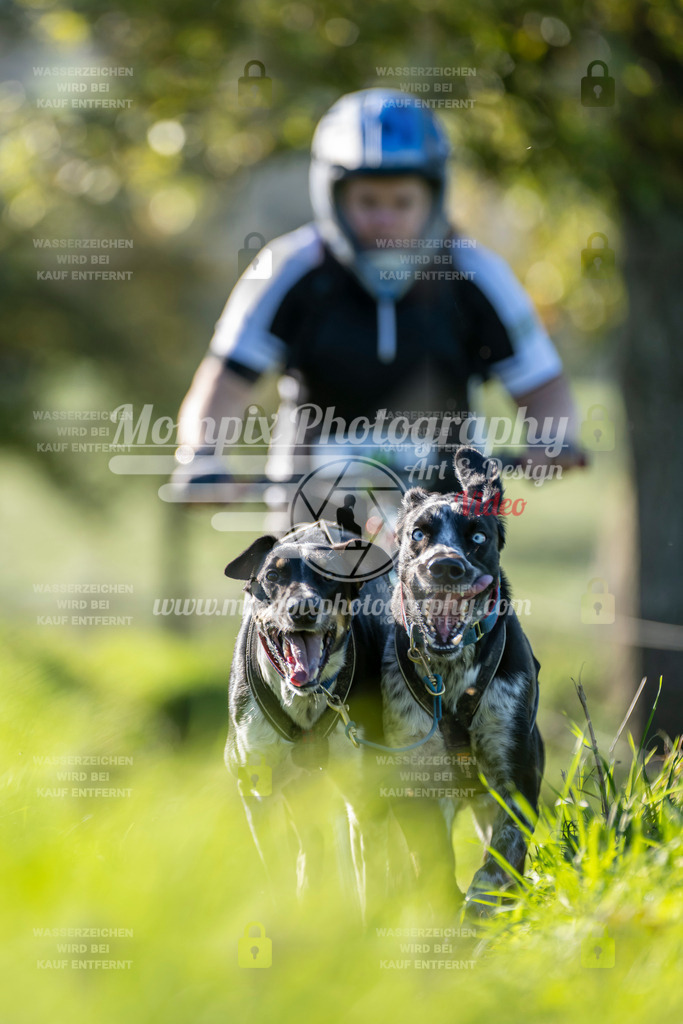 MompixPhotography_20TSB_E3_DS2-41 | PayLife