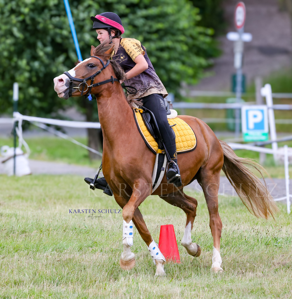 1B3A0718 | Reitsport Reiten