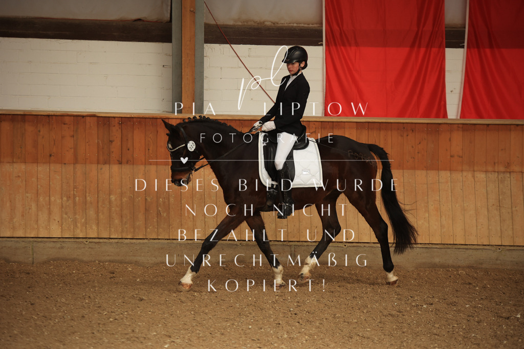 IMGT5431 | pl-fotografie