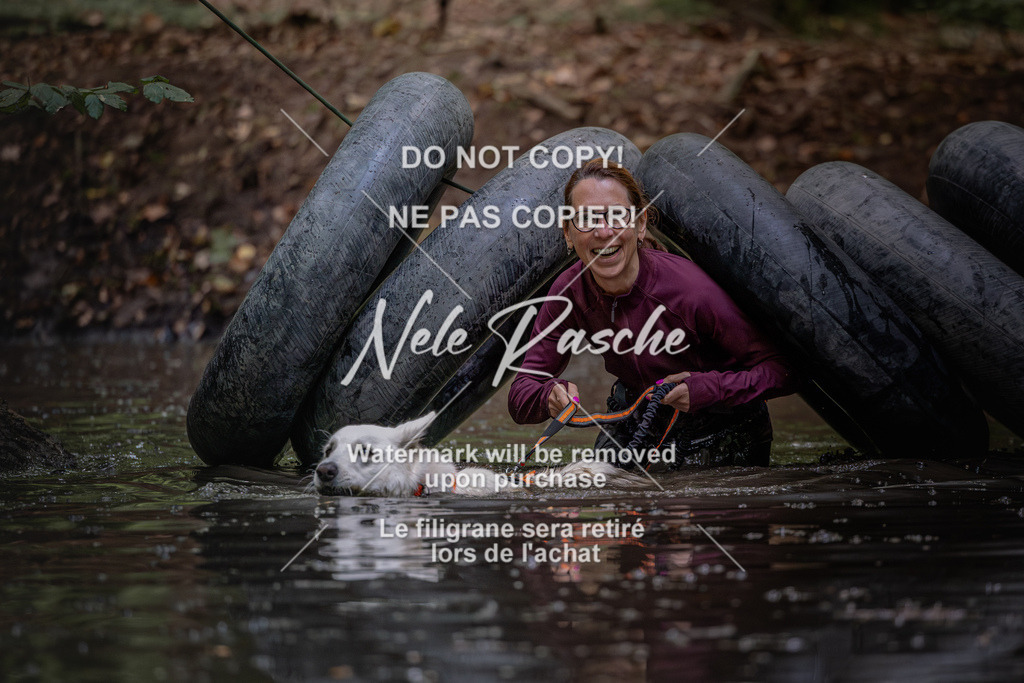 nelerasche_SaWingst1400-1500_28 | nelerasche