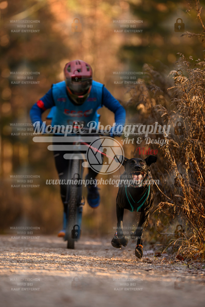 MompixPhotography_DM_AKDM_SO_2025_Scooter-156 | PayLife