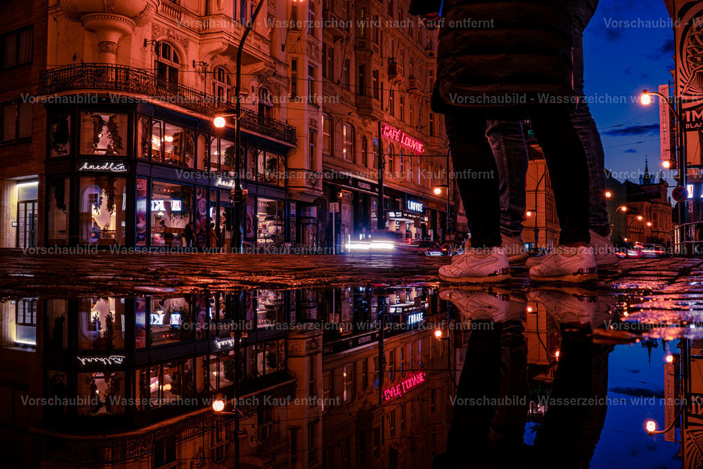 DSC03702 | marcuslinek