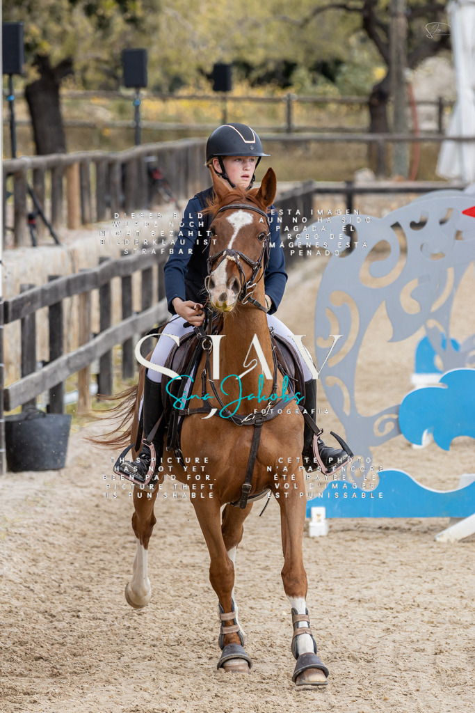 IMG_4686 | s-jay-photography - Realisiert mit Pictrs.com