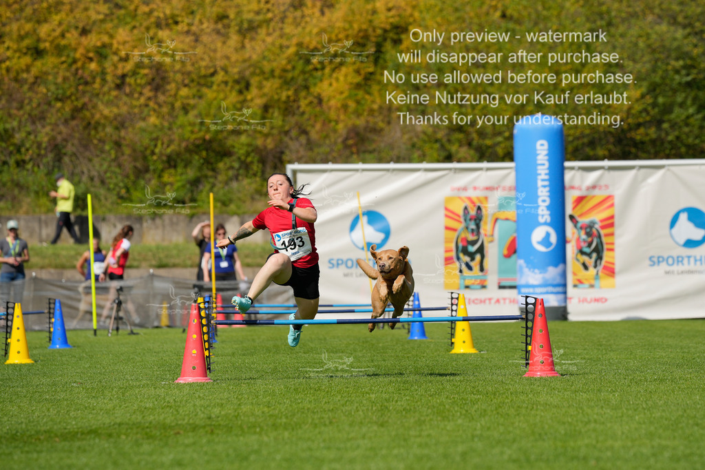 Samstag_Hürden (1463 von 1617) | stephaniefillaphotographie - Realisiert mit Pictrs.com