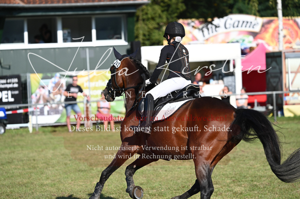 DSC_4761 | Pferde- und Turnierfotografie in Westsachsen. Pferdeportraits, Auftragszeichnungen und intuitive Kunst.
