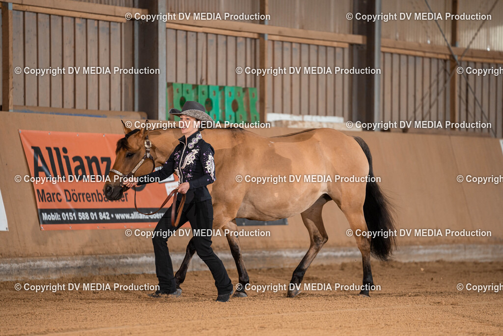 Losheim Tag 1-08 | dv-media-shop - Realisiert mit Pictrs.com