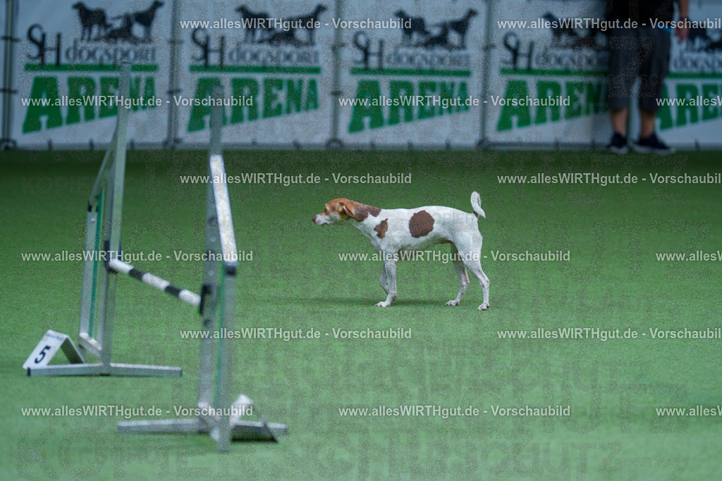@allesWIRTHgut_Tierfotografie - www.allesWIRTHgut.de - 2604251254-7R503039 | Professionelle Tierfotografie in Mönchengladbach von Daniel Wirth (allesWIRTHgut). Liebevolle & natürliche Bilder von Hunden & Katzen für unvergessliche Erinnerungen.