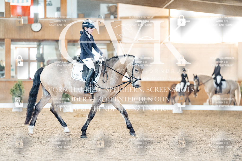 CK907378 | Turnierfotografie Pferdefotografie Trier Rheinland-Pfalz Pferdesport Reitsport Tierfotografie Sportfotografie Pferdevideo Pferdevideografie Equestrianvideography equestrianphotography  - Realized with Pictrs.com