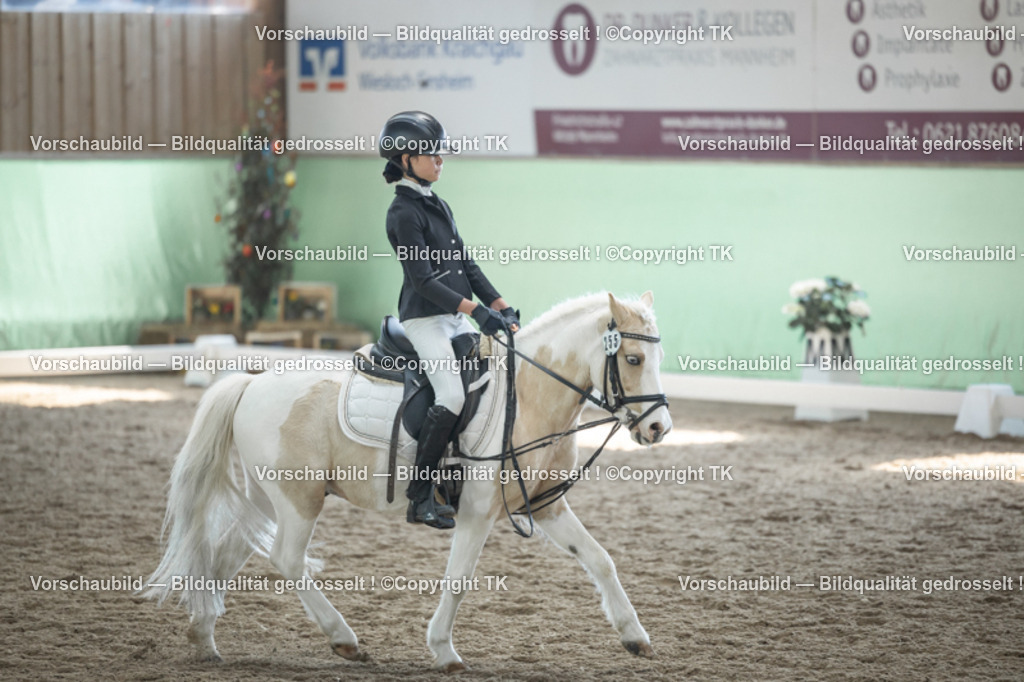 _D5A9042 | Emotionale Pferde- & People-Fotografie rund um Heidelberg, Leimen & Umgebung. Natürliche Fotos von Pferd, Mensch & Familie. Jetzt Termin sichern!