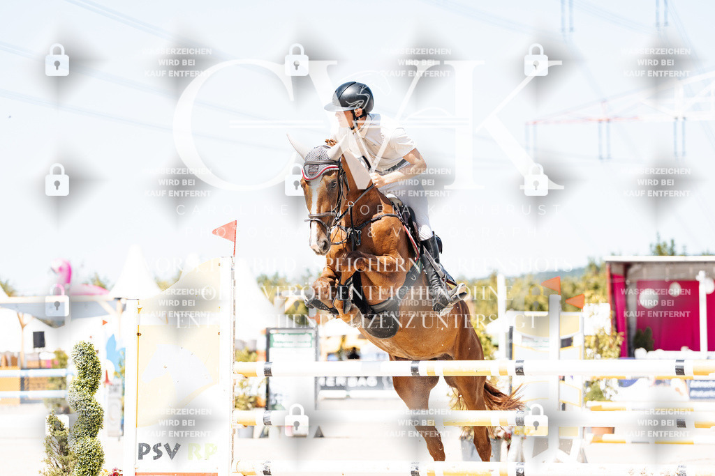 CK909392 | Turnierfotografie Pferdefotografie Trier Rheinland-Pfalz Pferdesport Reitsport Tierfotografie Sportfotografie Pferdevideo Pferdevideografie Equestrianvideography equestrianphotography  - Realisiert mit Pictrs.com