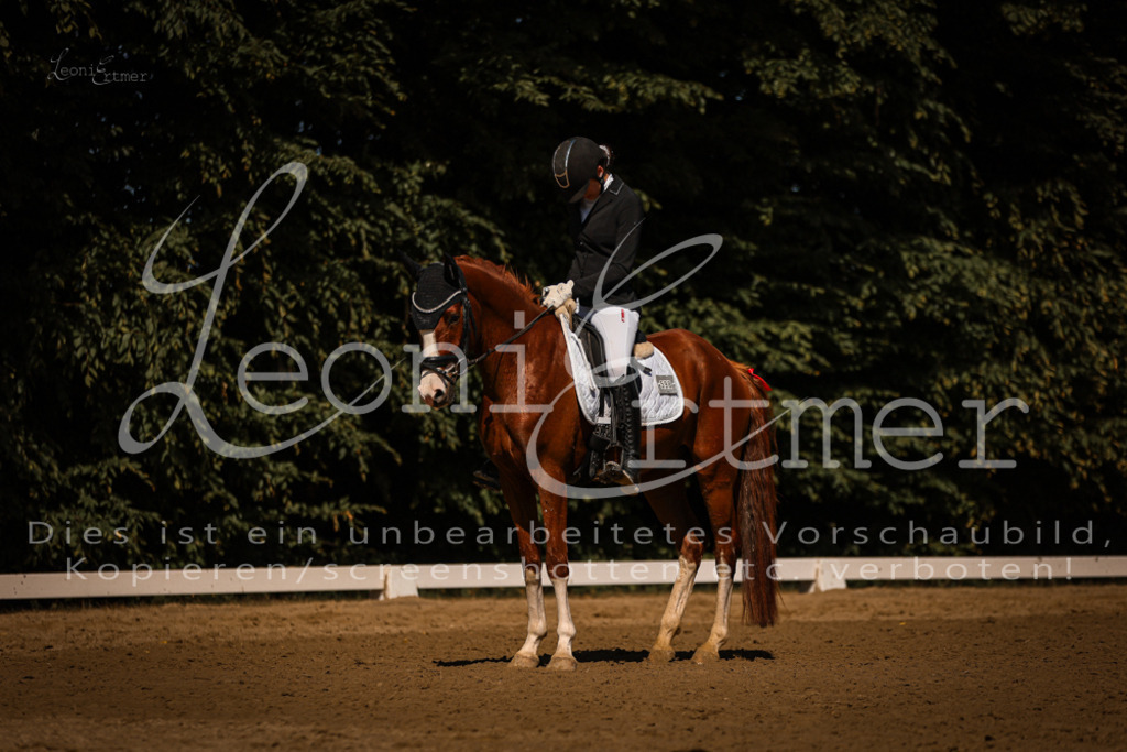 07.FrDrPA00326 | Leoni Ertmer Photography - Realisiert mit Pictrs.com