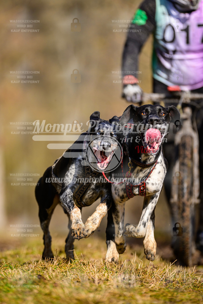 MompixPhotography_Schwabentrail2025_SO_DS2-18 | PayLife