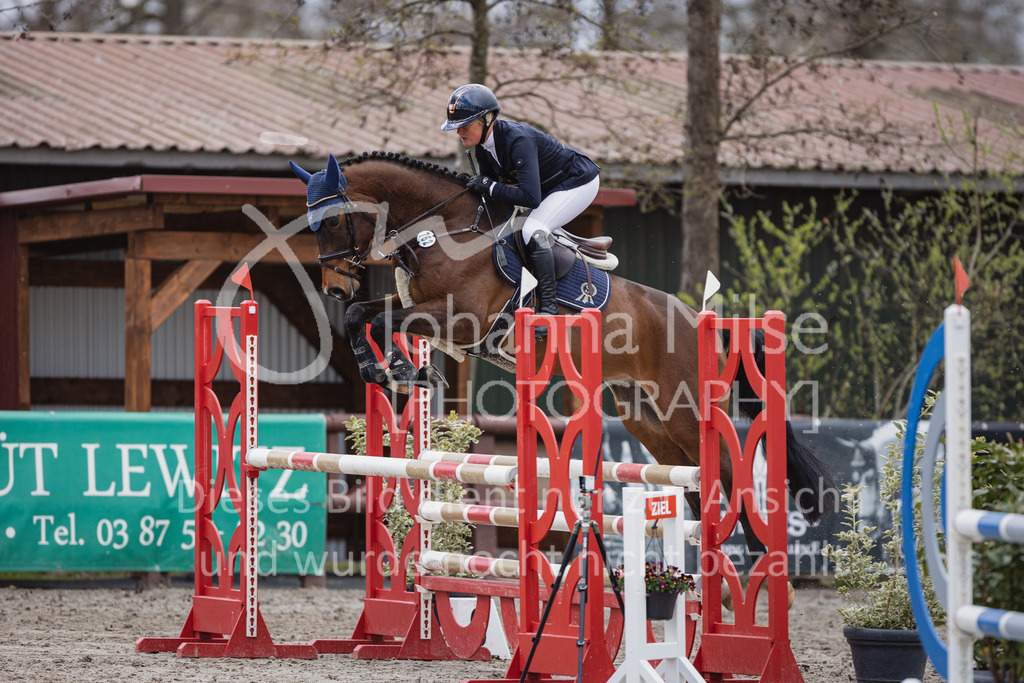 230411_Mühlen_03SprPf-L-355 | Deine schönsten Turniermomente als professionelle Fotos! Entdecke hochwertige Pferdesport-Fotografie im Online-Shop. Jetzt Fotos finden & bestellen!