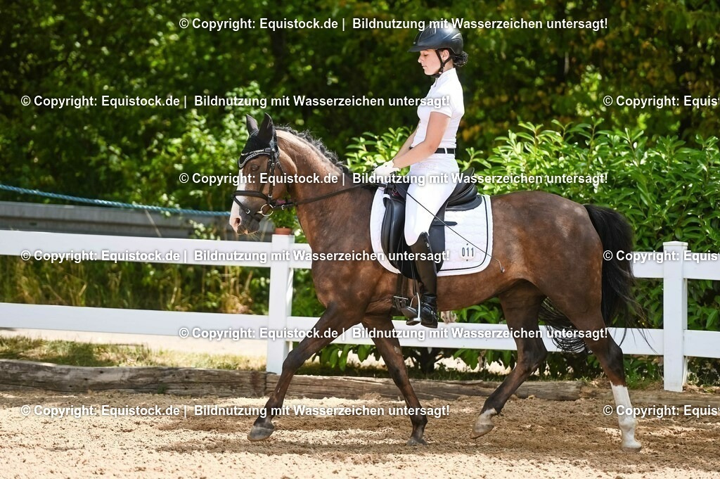 20230715_09_Dressur-WB_0143 | equistock