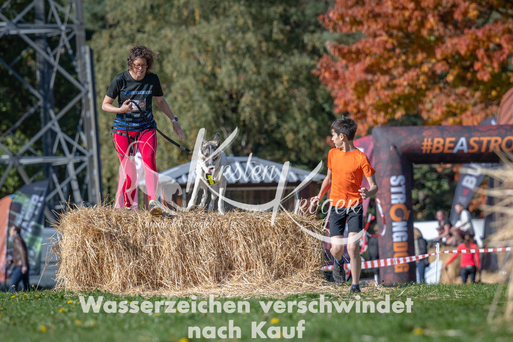 1154_ZZ91420 | kk-dogfotos