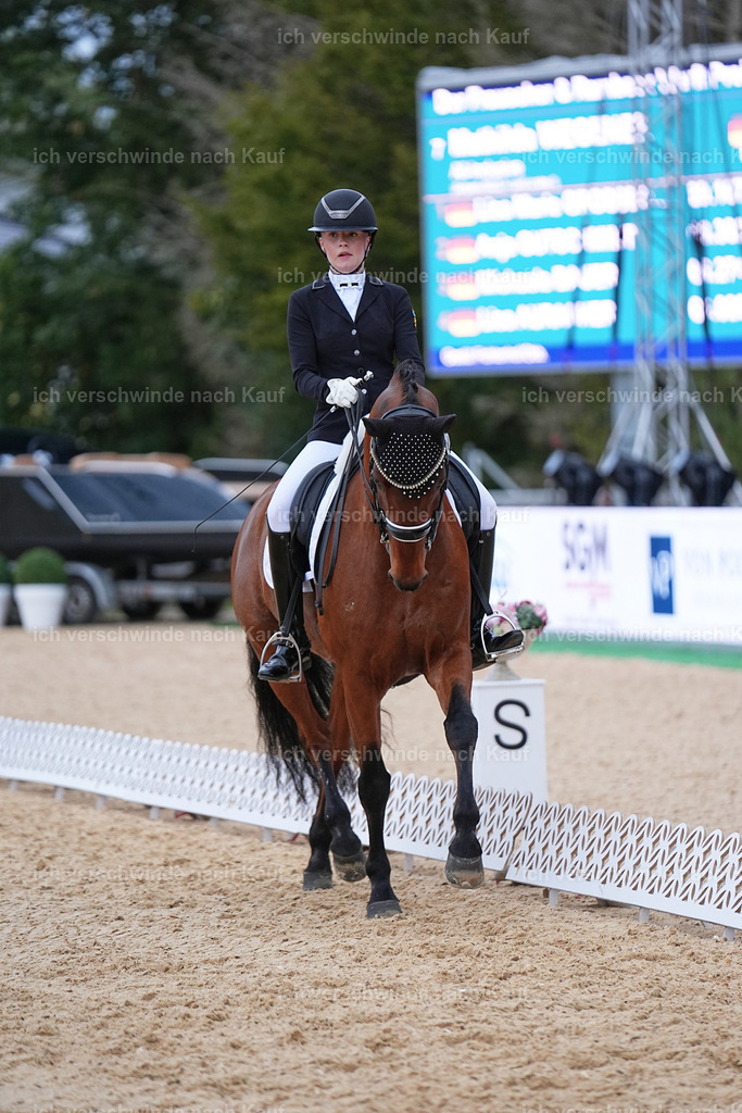 04_2-006-Dressur M__ -Marixx-3077 | working equitationturnier fotograf videograf stoibphotography marixx film working equitation deutschland reitsport turnierfotografie eventfotografie equestrian events