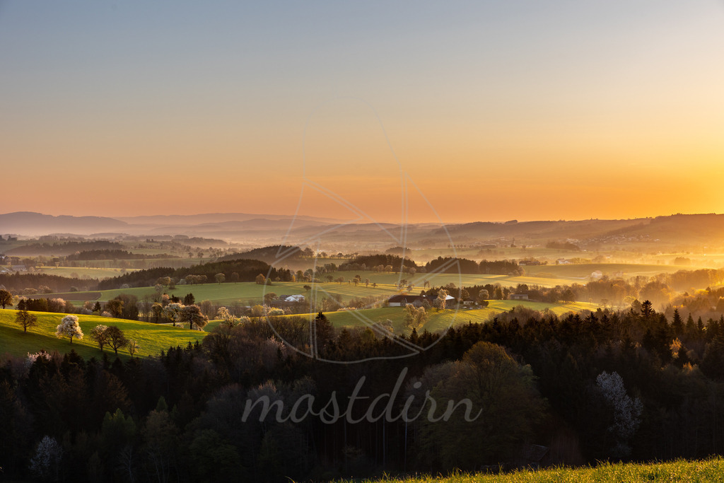 Morgenrot Mostviertel | Bei Veröffentlichung des Bildes ist eine Namensnennung wie folgt erforderlich: Foto: Mostdirn Irmgard Wieser - Realisiert mit Pictrs.com