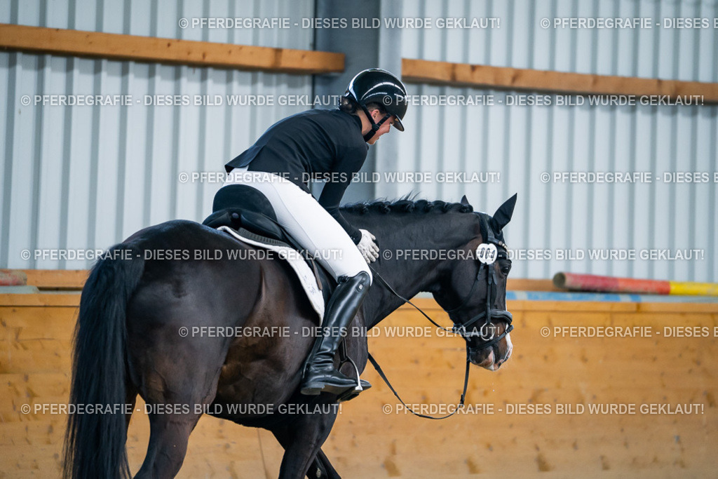 DSC05995 | Pferdegrafie