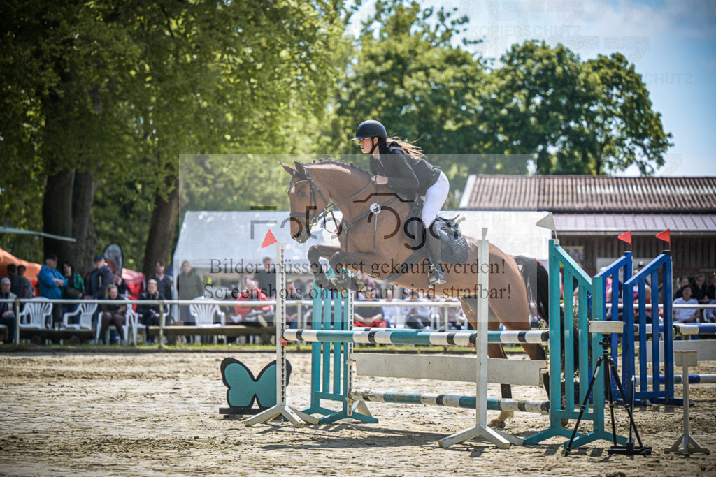 DOS_9596 | Entdecke hochwertige Reitturnierfotos von Foto Oger. Professionell, emotional und authentisch – jetzt Lieblingsmomente im Shop bestellen.Deutschlandweite Turnierfotografie. - Realisiert mit Pictrs.com