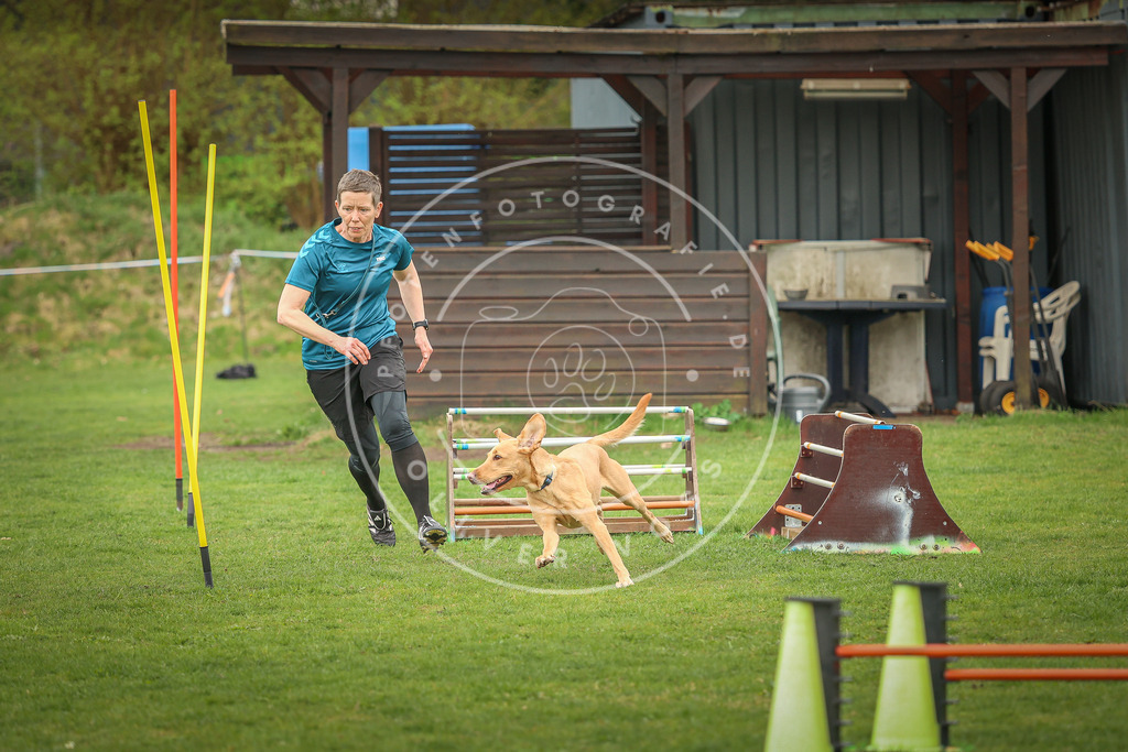 Pfotenfotografie_0L8A0556 | Hundefotografie, Tierfotograf, Pfotenfotografie, Fotoshooting Hund, Hunde Portrait, Hundesport, Hundeportraits, Heideshooting, Hunde, Sportfotograf, Hundefotograf, Turnierhundsport, THS,  - Realisiert mit Pictrs.com