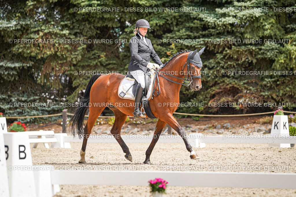 DSC03315 | Pferdegrafie