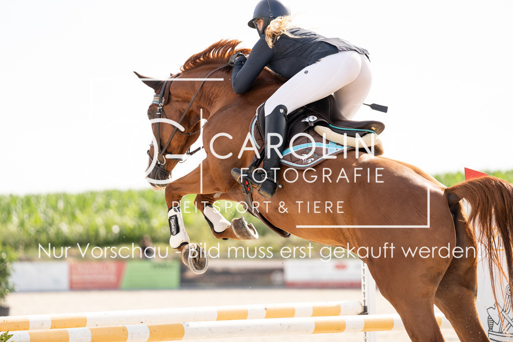 DSC02398 | Turnierfotografin Carolin Gieschke, Turnierfotografie Carolin G Fotografie, Turnierfotos Kirchheim/Teck, Esslingen, Stuttgart, Bodenseekreis