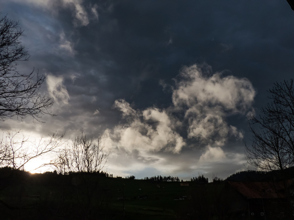 PSX_20230331_232129 | mtkfoto_ - Realisiert mit Pictrs.com