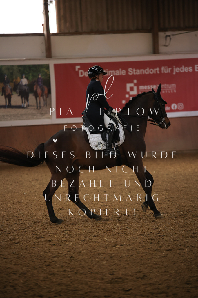 IMGT4992 | pl-fotografie