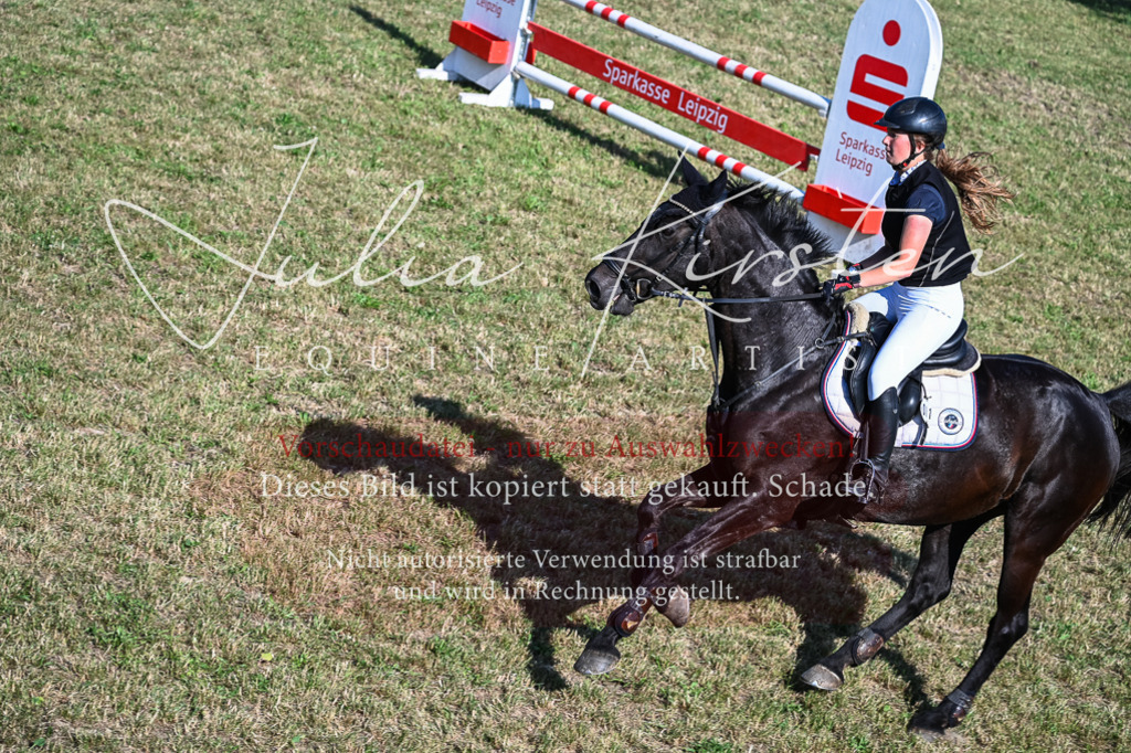 DSC_2421 | Pferde- und Turnierfotografie in Westsachsen. Pferdeportraits, Auftragszeichnungen und intuitive Kunst.