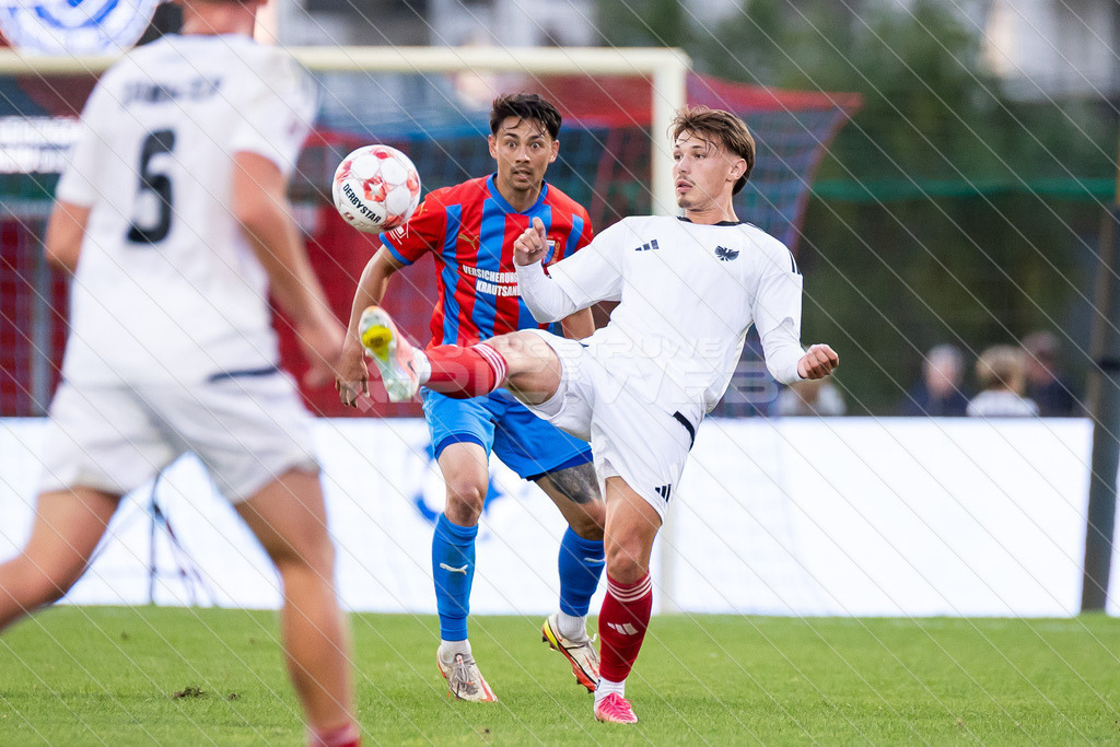 20260731_Picselweb-Fotografie_2R3_1584 | Dein Fotograf aus dem Landkreis Stade für Sport und Events - Realisiert mit Pictrs.com
