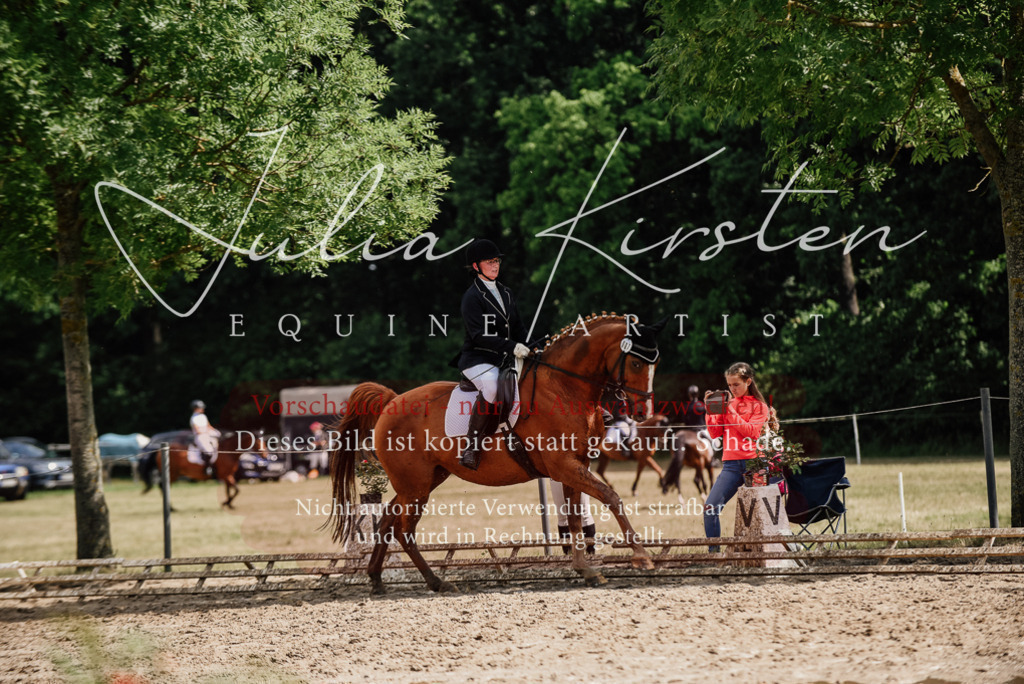 DSC_0704 | Pferde- und Turnierfotografie in Westsachsen. Pferdeportraits, Auftragszeichnungen und intuitive Kunst.