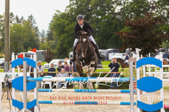 DKP43756 | Turniersportfotografie; Pferdefotografie; Dressurfotografie