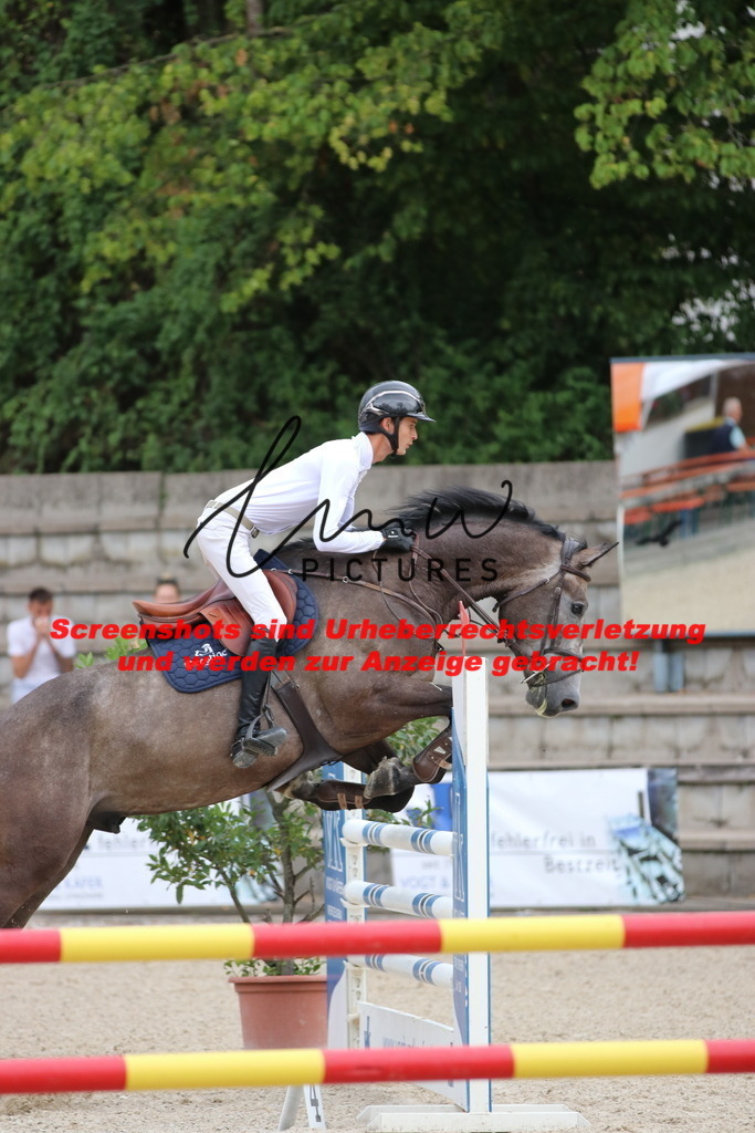 IMG_7769 | lmwpictures - Realisiert mit Pictrs.com