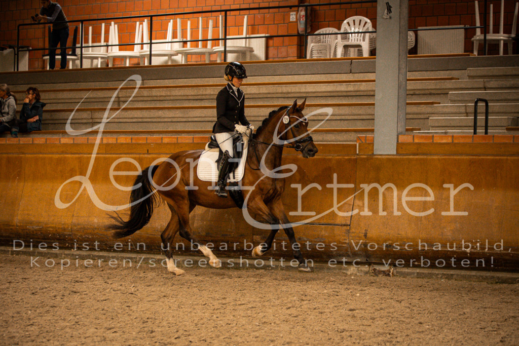 2Reiten00387 | Leoni Ertmer Photography - Realisiert mit Pictrs.com