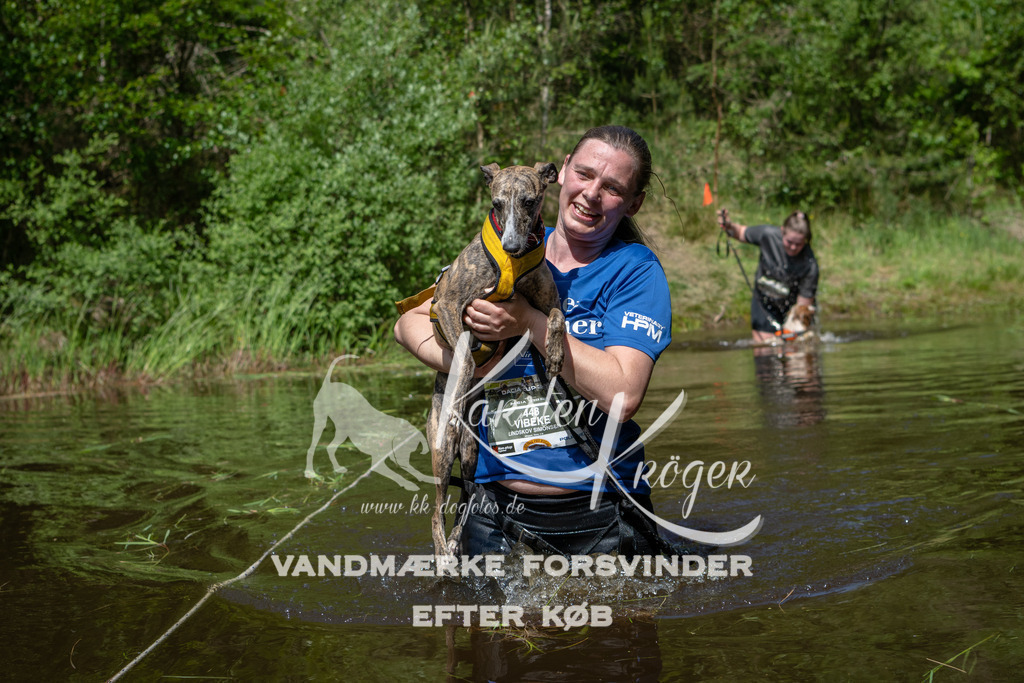 1149DKK991203 | kk-dogfotos