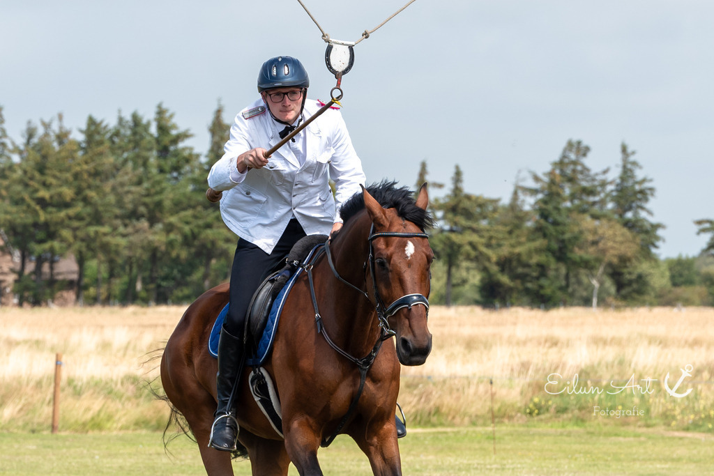 EAF_7127 | Eilun-Art-Fotografie Levke Martens, ihre Fotografin für Immobilien- und Landschaftsfotografie auf Föhr, Föhrer Motive als Poster, Leinwand, hinter Acrylglas oder stelle dir deinen eigenen Monatskalender zusammen, mit nur einem Klick