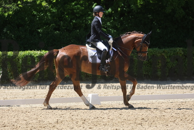 Böblingen_2025_Prfg.Nr.08_Dressurprüfung_Kl.M_Nürnberger Burgpokal_Sophia Sautter_Benicia E (5) | Alle Fotos der Reiterjournal Fotografin Doris Matthaes im Reiterjournal Online-Fotoshop. - Realisiert mit Pictrs.com